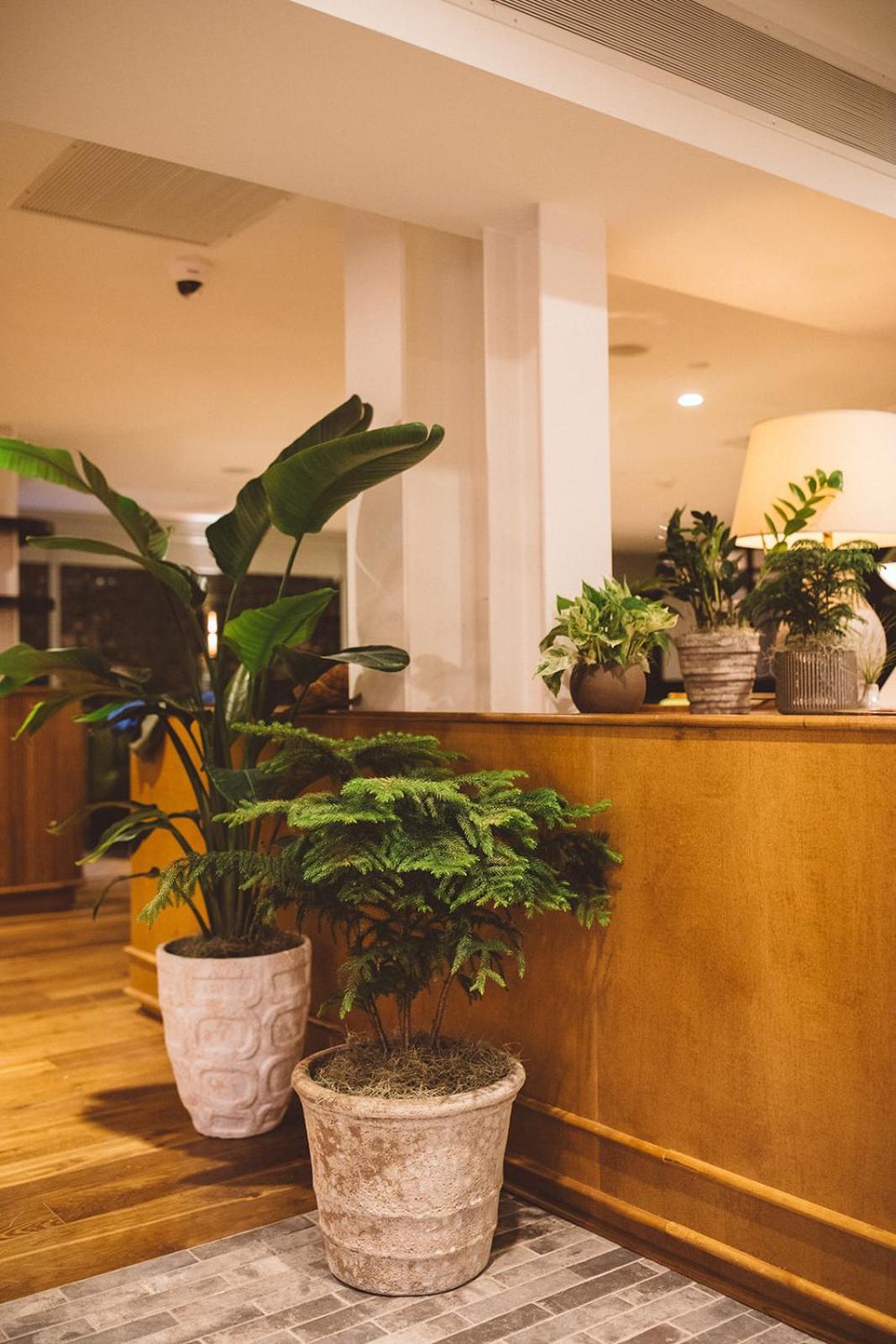 Hotel Emeline Τσάρλεστον Εξωτερικό φωτογραφία